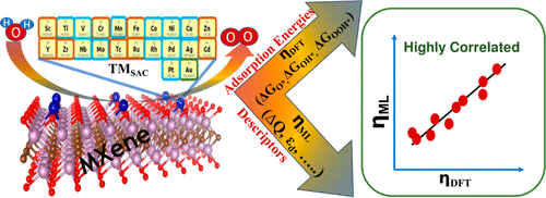 Affect the catalytic efficiency in the electrochemical OER on Mo2CO2 MXenes